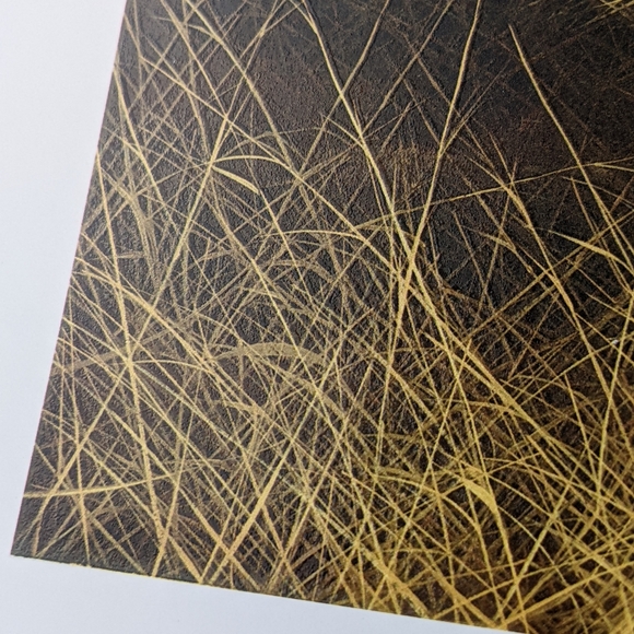 🏈 Andrew Bone NWOT African Mystique leopard art print brown black signed - Picture 7 of 9